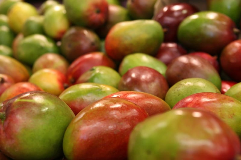 Exotic Ingredients Mix